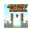 Angry Ninja
