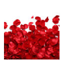 Floral HD Wallpaper New Tab Theme