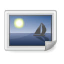 Download All Images