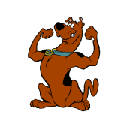 Scooby profiler