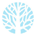 Winter Snow HD Wallpaper Theme