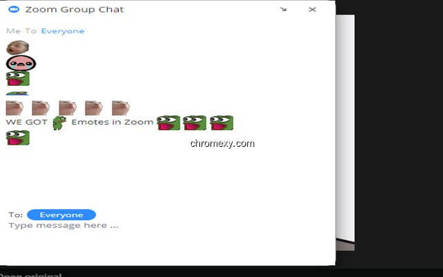 【图】Better Zoom Chat(截图1)