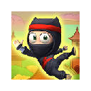 Ninja Ascend
