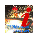 CSPManager information API