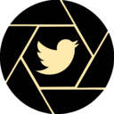 Capture My Tweet 🐦 Capture My Tweet 🐦