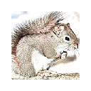 WeChatSquirrel WeChatSquirrel