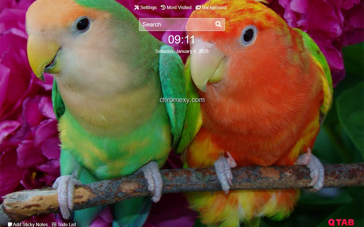 【图】Parrot Wallpapers parrot New Tab HD(截图2)