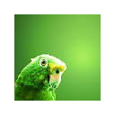 Parrot Wallpapers parrot New Tab HD