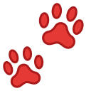 Enevcil Blog RSS