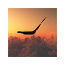 Freedom Wallpapers HD Theme