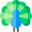 AWS Peacock Management Console