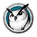 Insight Web Helper