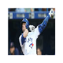 Josh Donaldson Themes & New Tab