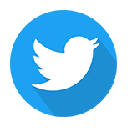 Tweetvideo downloader