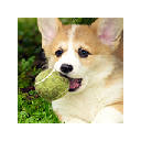 Puppy Wallpapers HD New Tab Theme Puppy Wallpapers HD New Tab Theme