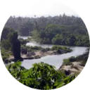 Congo Wallpaper New Tab