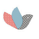 Tokbird Lite