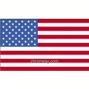 The United States Constitution