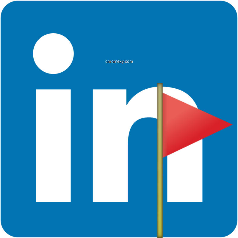 Linkedin Companies Flags