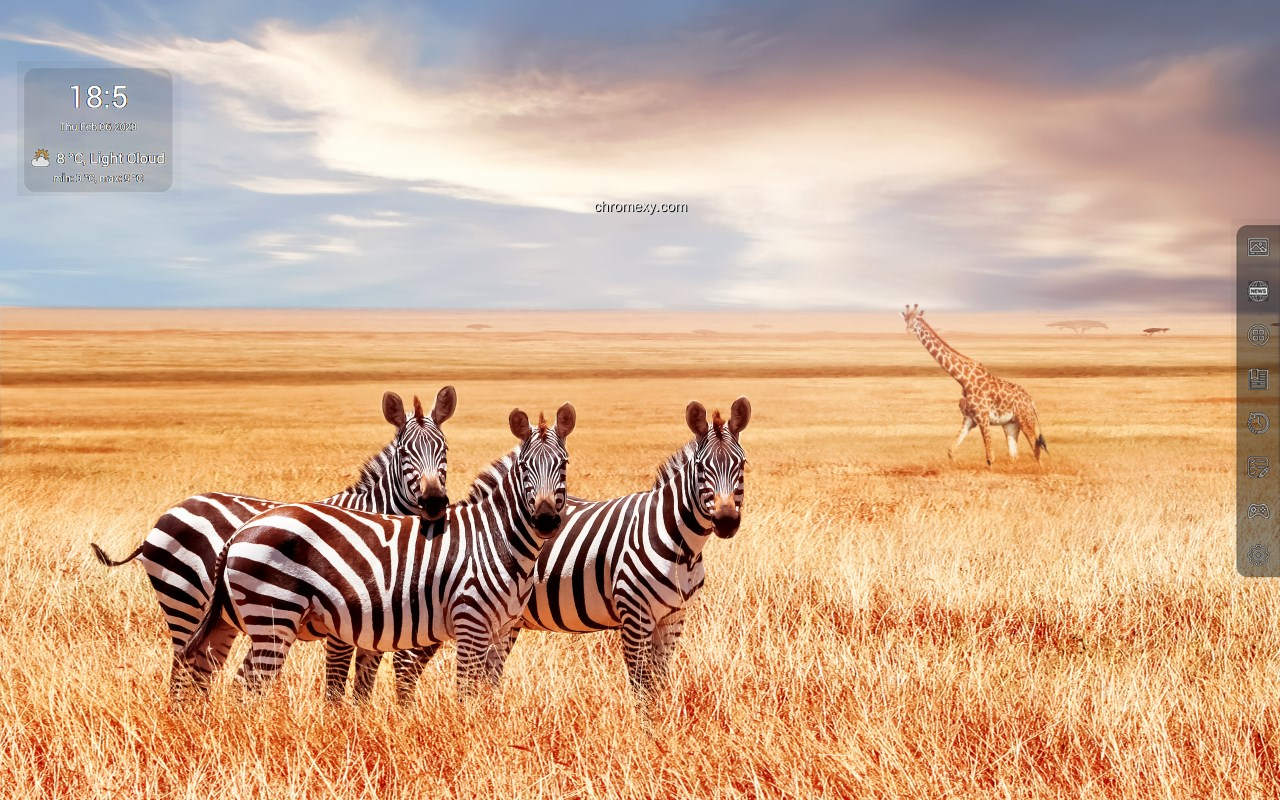 【图】Zebras HD Wallpapers – Custom New Tab(截图2)