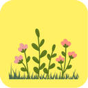 Pink Muhly Grass Price Calculator
