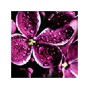 Purple Wallpapers Theme Purple New Tab Purple Wallpapers Theme Purple New Tab