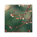 Rain Wallpapers NewTab Theme
