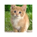 Kitty Cats Backgrounds & Themes