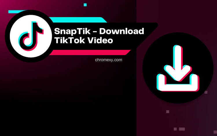 【图】SnapTik – Download TikTok Video No Watermark(截图1)