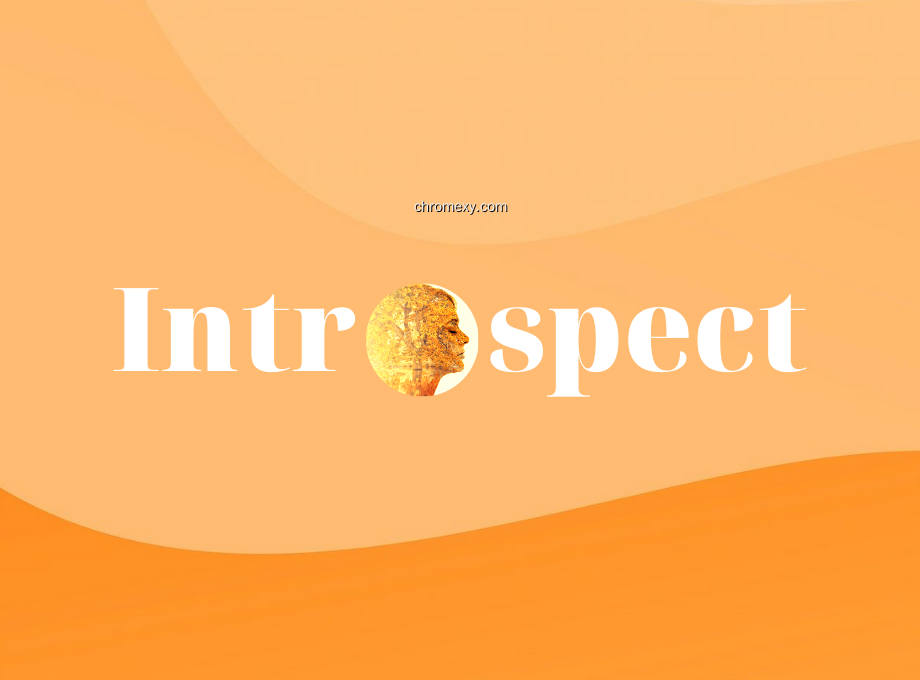 【图】Introspect(截图1)