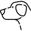 Labrador HD Wallpapers – Custom New Tab