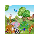Wild Animals Jigsaw