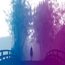 Sekiro Blue and Pink Theme