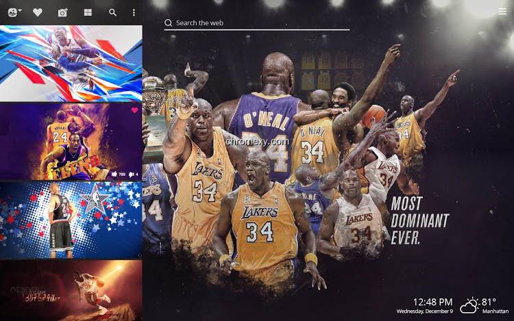 【图】NBA Legends Basketball HD Wallpaper Theme(截图2)