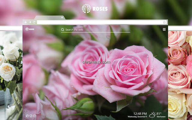 【图】Roses – Love Flowers HD Wallpaper Theme(截图1)