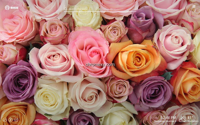 【图】Roses – Love Flowers HD Wallpaper Theme(截图2)