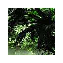 Jungle Wallpapers Theme New Tab