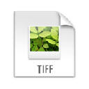 TIF, TIFF Viewer with Drive