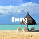 Bwing