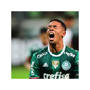 SE Palmeiras Tab