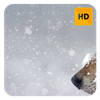 Snowflakes Wallpaper HD New Tab Theme