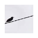 Twitter Slimmer – hide likes and retweets Twitter Slimmer – hide likes and retweets