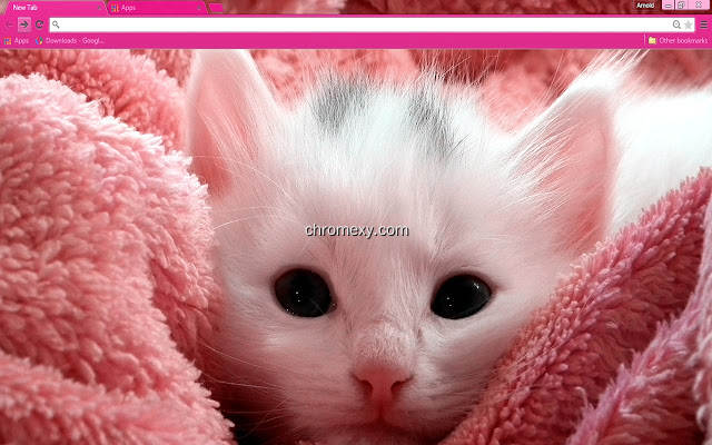 【图】Pink Kitten(截图1)