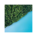 Natural Images New Tab Wallpapers