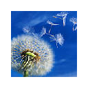 Nature Four Seasons Wallpapers FullHD New Tab Nature Four Seasons Wallpapers FullHD New Tab