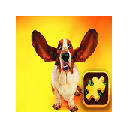 Funny Dogs Puzzle