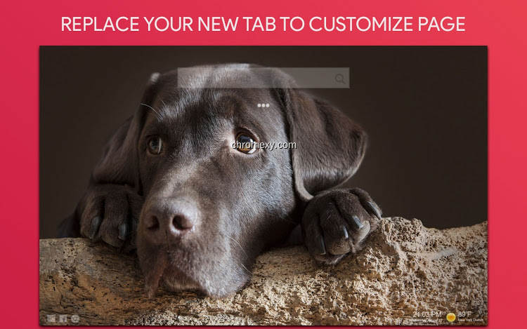 【图】Puppies Wallpaper HD Custom New Tab(截图 0)
