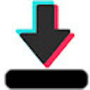 Tiktok Downloader