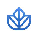 Ivy Clipper