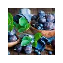 Plum (Sielena theme)